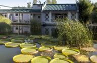 北京植物園盆景園