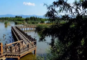 北京最大最美的濕地公園景觀：野鴨湖國(guó)家濕地公園